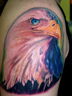 Chris Burnett - Bald Eagle color realism
